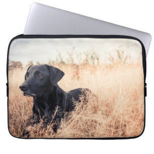 Schwarzes Labrador in trockenem Gras Laptopschutzhülle