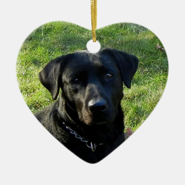 Schwarzes Labrador Keramikornament (Vorne)