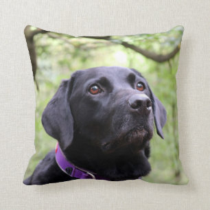 Schwarzes Labrador Kissen