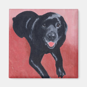 Schwarzes Labrador-Lächeln Magnet