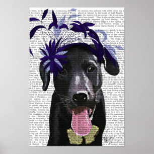Schwarzes Labrador mit blauem Fascinator Poster