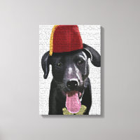 Schwarzes Labrador mit Fez