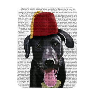 Schwarzes Labrador mit Fez Magnet