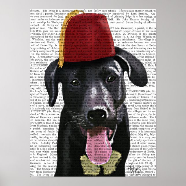 Schwarzes Labrador mit Fez Poster (Vorne)