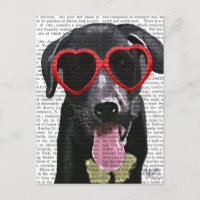 Schwarzes Labrador mit Herzsonnenbrille