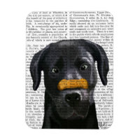 Schwarzes Labrador mit Knochen auf der Nase