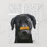 Schwarzes Labrador mit Knochen auf der Nase