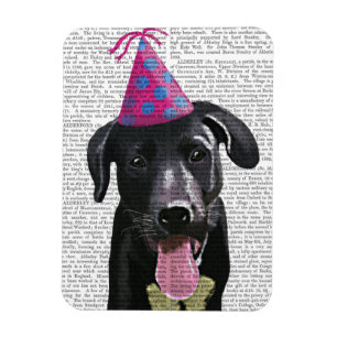 Schwarzes Labrador mit Party-Hut Magnet