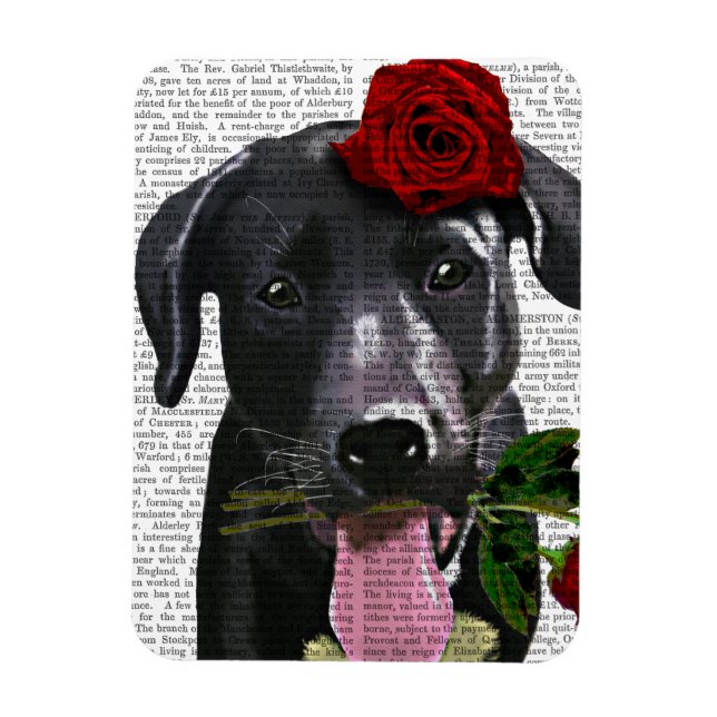 Schwarzes Labrador mit Rose 2 Magnet (Vertikal)