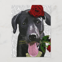 Schwarzes Labrador mit Rose