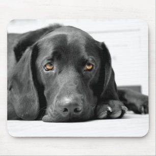 Schwarzes Labrador Mousepad
