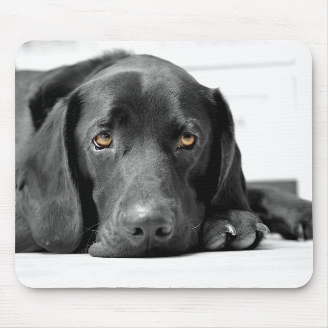 Schwarzes Labrador Mousepad (Vorne)
