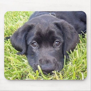 Schwarzes Labrador mousepad