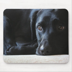 Schwarzes Labrador Mousepad