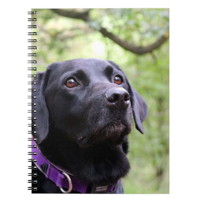 Schwarzes Labrador Notizblock (Vorderseite)