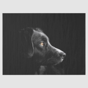 Schwarzes Labrador Retrievenpapier Seidenpapier