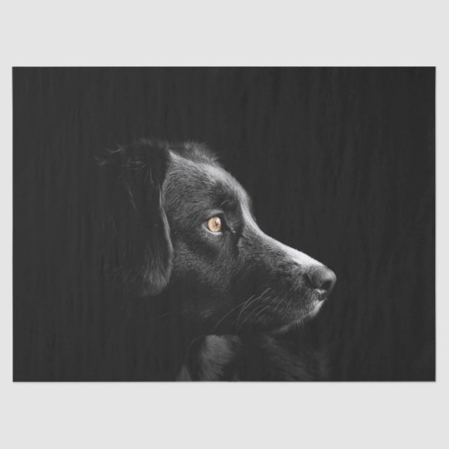 Schwarzes Labrador Retrievenpapier Seidenpapier (Vorderseite)