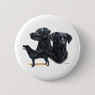 Schwarzes Labrador retriever Button