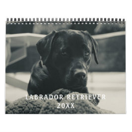 Schwarzes Labrador Retriever Dog Foto Kalender