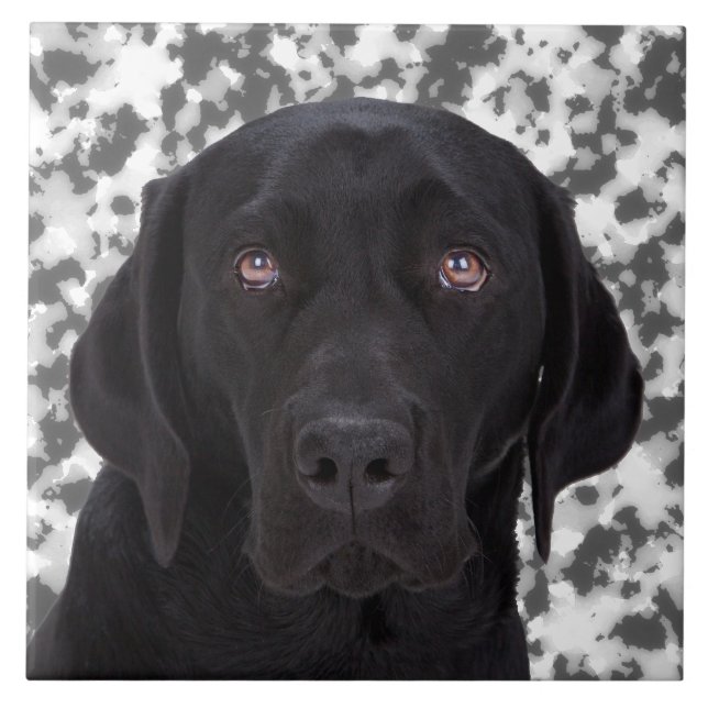 Schwarzes Labrador retriever Fliese (Vorderseite)