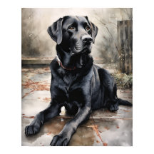 Schwarzes Labrador Retriever Hund Art Print Poster