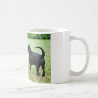 Schwarzes Labrador retriever Kaffeetasse
