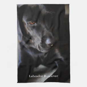 Schwarzes Labrador retriever Küchentuch