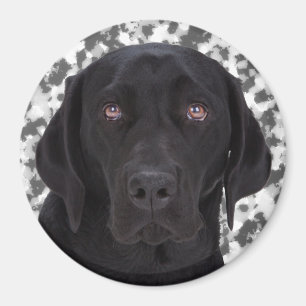 Schwarzes Labrador retriever Magnet