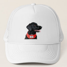 Schwarzes Labrador Retriever mit rotem Collar Truckerkappe