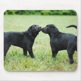 Schwarzes Labrador retriever Mousepad
