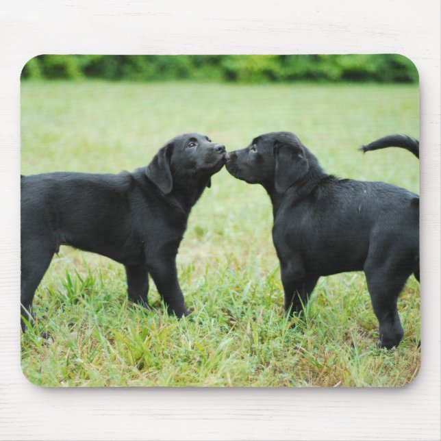 Schwarzes Labrador retriever Mousepad (Vorne)