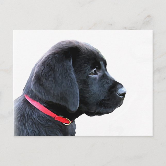 Schwarzes Labrador Retriever Niedliche Welpe - Sch Postkarte (Vorderseite)