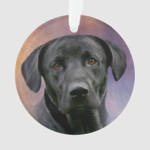 Schwarzes Labrador retriever Ornament