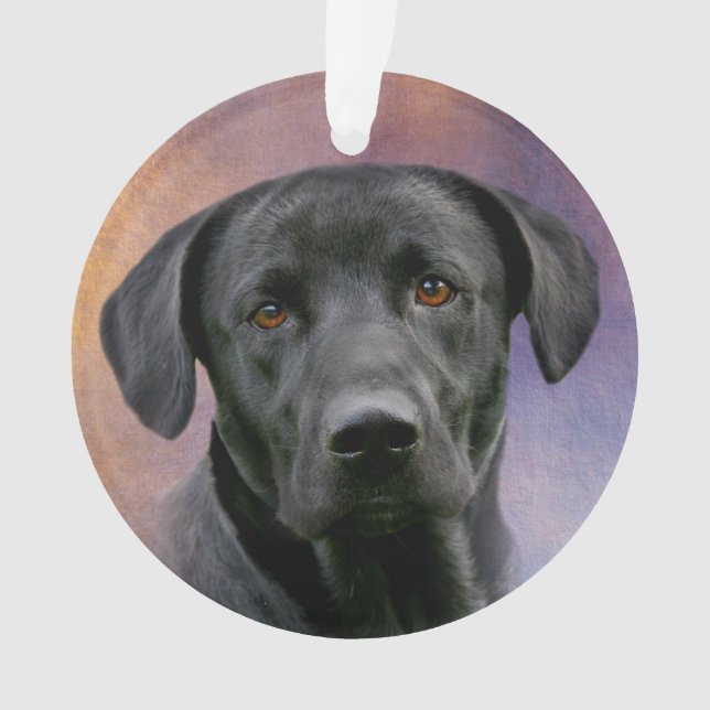 Schwarzes Labrador retriever Ornament (Vorderseite)