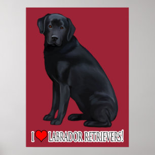 Schwarzes Labrador Retriever Portrait Poster