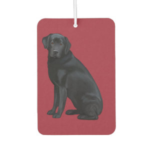 Schwarzes Labrador retriever-Porträt Autolufterfrischer