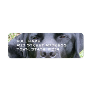 Schwarzes Labrador Retriever-Postetikett
