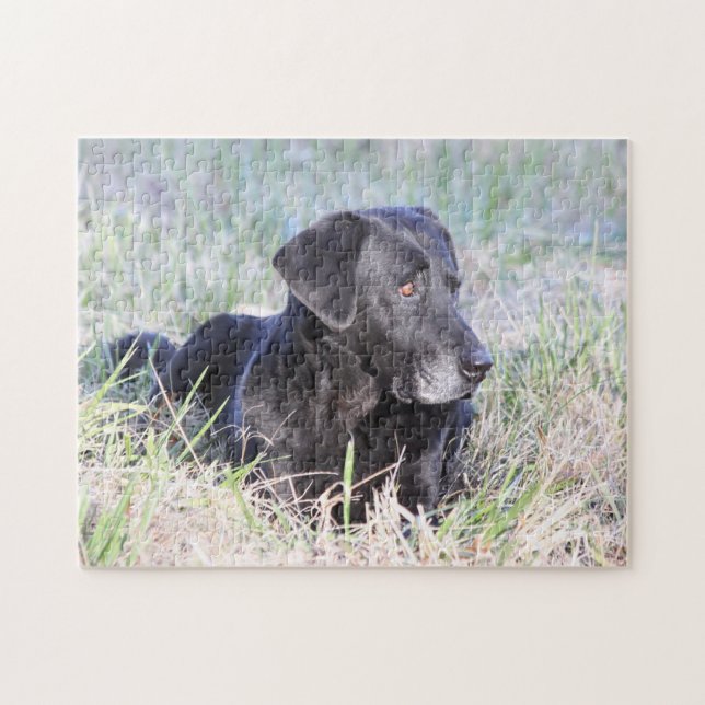 Schwarzes Labrador retriever Puzzle (Horizontal)