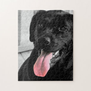 Schwarzes Labrador retriever Puzzle