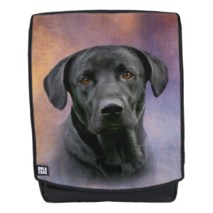 Schwarzes Labrador retriever Rucksack