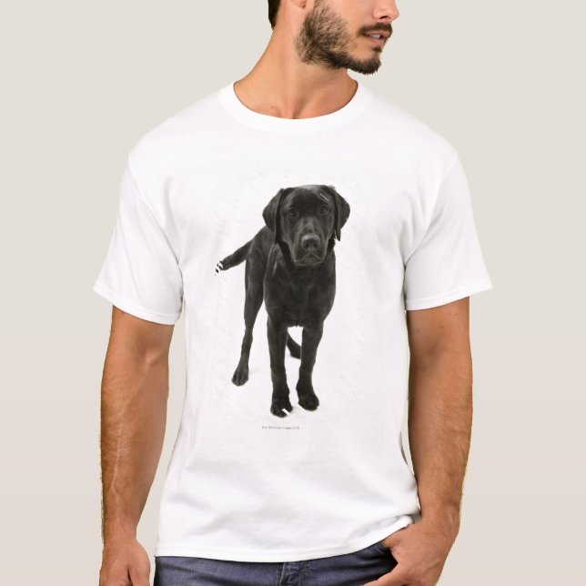 Schwarzes labrador retriever T-Shirt (Vorderseite)