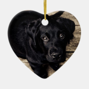 Schwarzes Labrador Retriever Welpe auf Holz Keramikornament