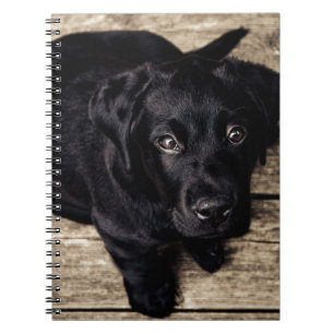 Schwarzes Labrador Retriever Welpe auf Holz Notizblock