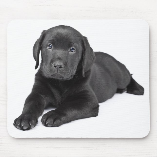 Schwarzes Labrador-Retriever-Welpenmousepad Mousepad (Vorne)