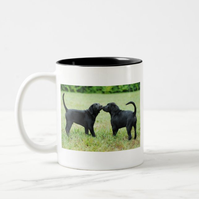 Schwarzes Labrador retriever Zweifarbige Tasse (Links)