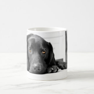 Schwarzes Labrador Tasse