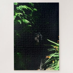 Schwarzes Labrador verbergen Puzzle