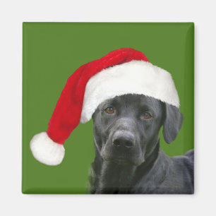 Schwarzes Labrador Weihnachten Magnet