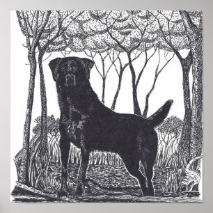 schwarzes Labradorplakat Poster