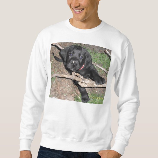 schwarzes Labradorwelpenalter 6 Wochen Sweatshirt (Vorderseite)